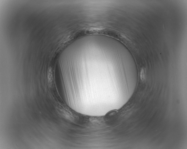 X0000060741299200512011409