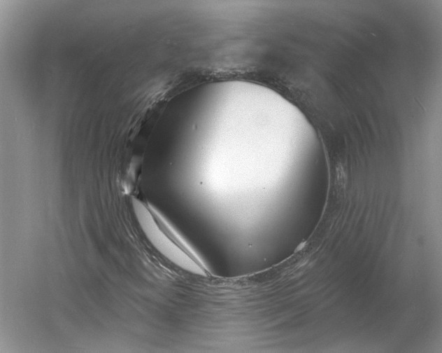 X0000060741300200512011409