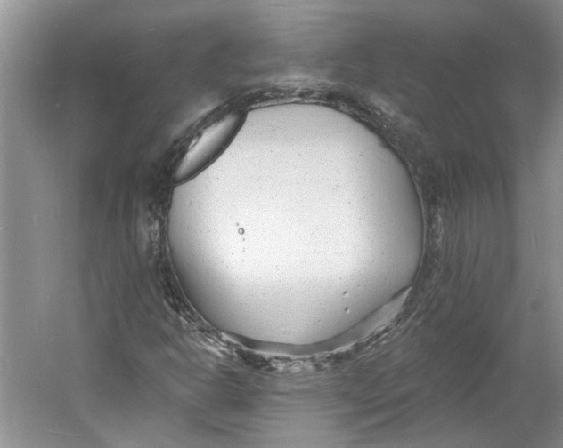 X0000060741302200512011409