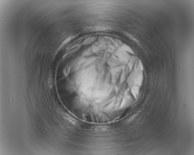 X0000060741306200512011409