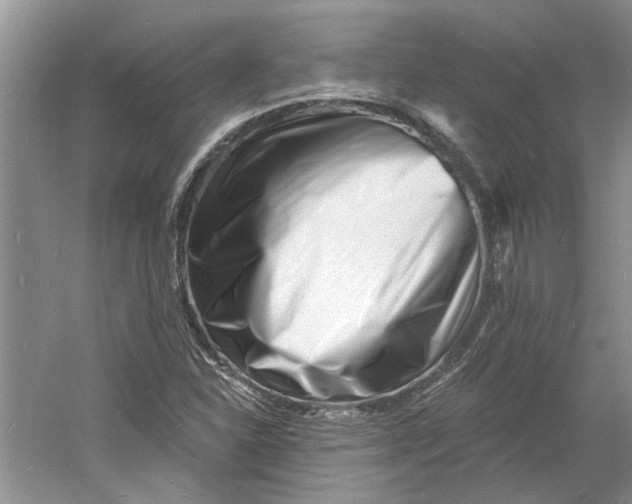 X0000060741310200512011409