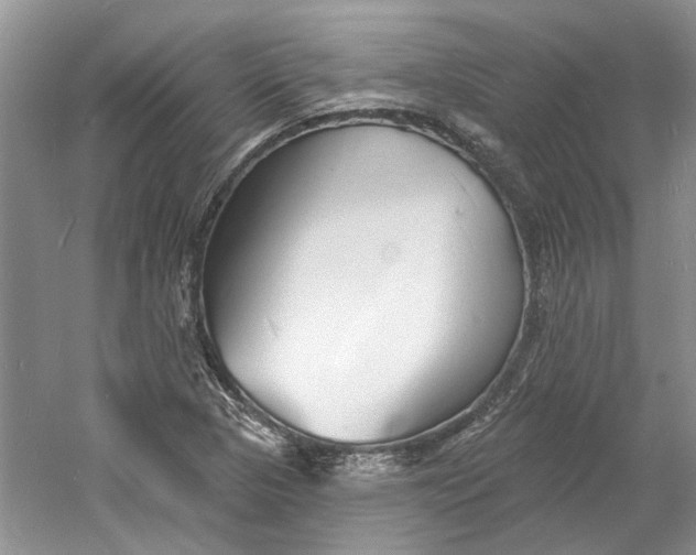 X0000060741313200512011409