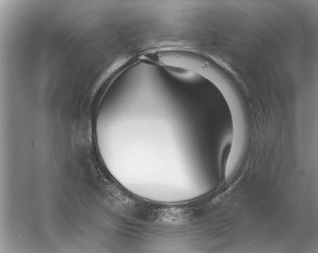 X0000060741317200512011409