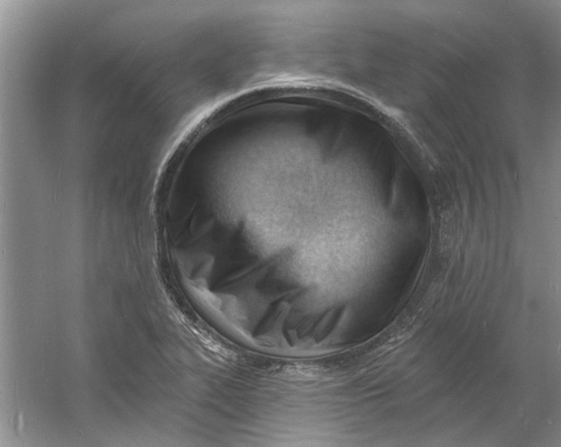 X0000060741319200512011409