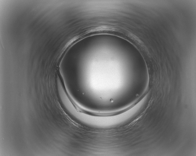 X0000060741321200512011409