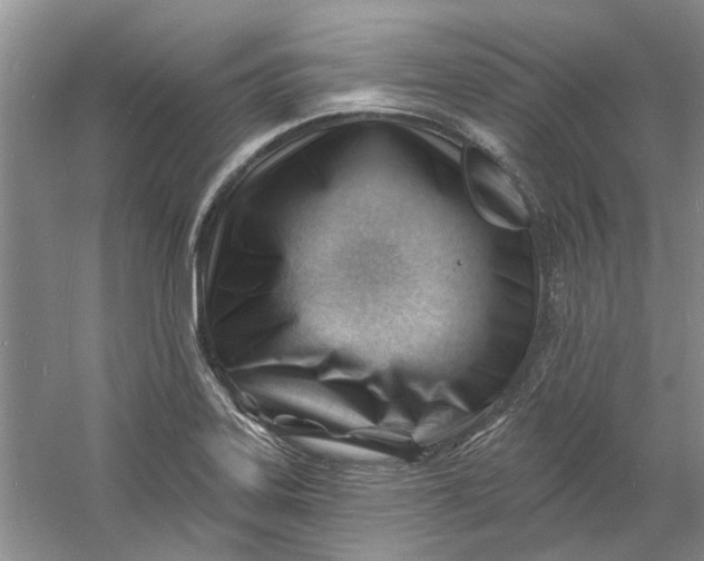 X0000060741323200512011409