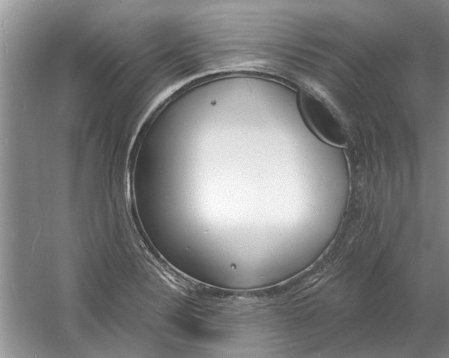 X0000060741324200512011409