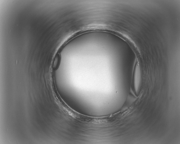 X0000060741325200512011409