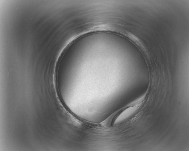 X0000060741334200512011409