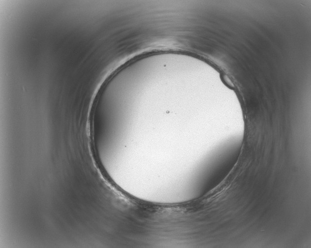 X0000060741335200512011409