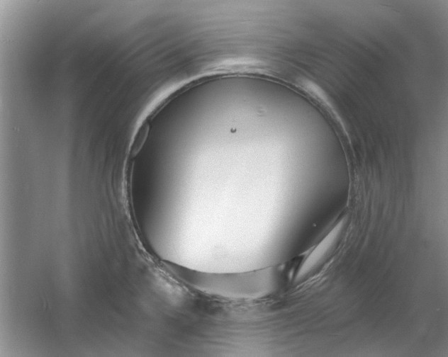 X0000060741336200512011409