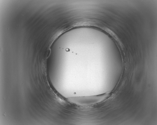 X0000060741337200512011409