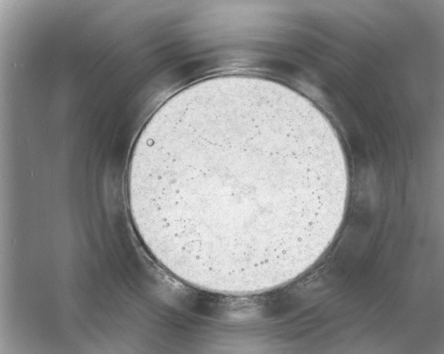 X0000060741338200512011409