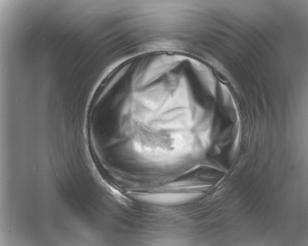 X0000060741339200512011409