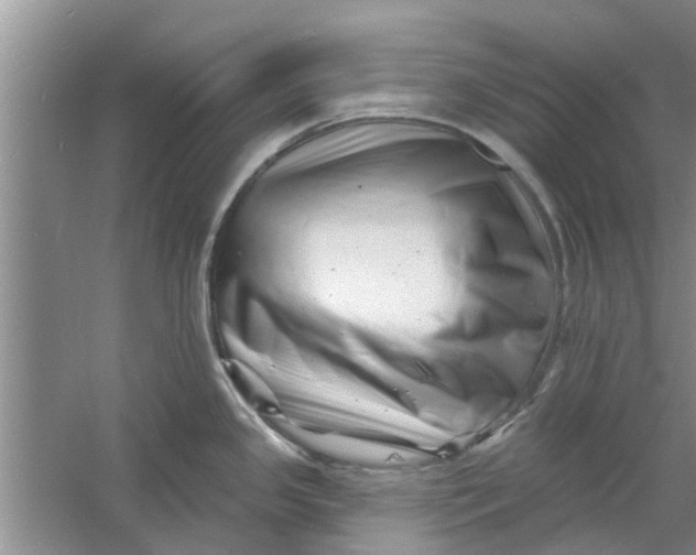 X0000060741341200512011410