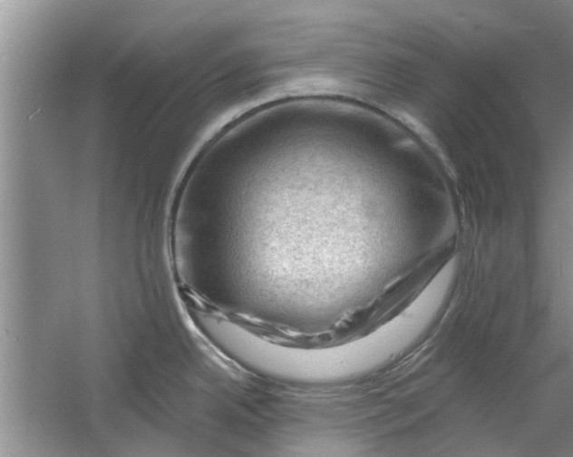 X0000060741342200512011410