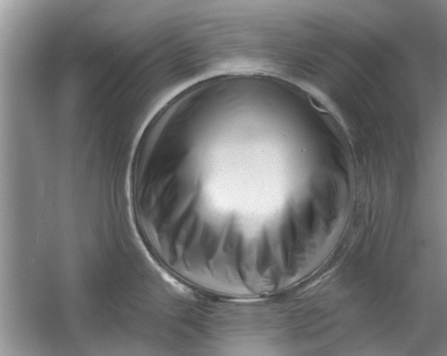 X0000060741343200512011410