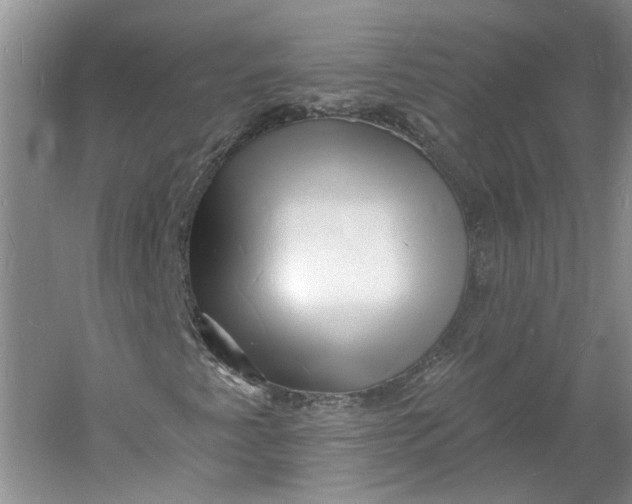 X0000060741345200512011409