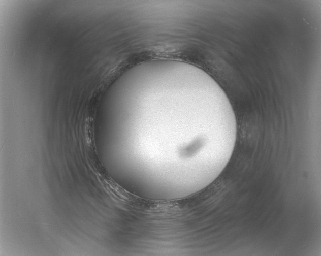 X0000060741346200512011409