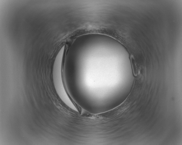 X0000060741348200512011409