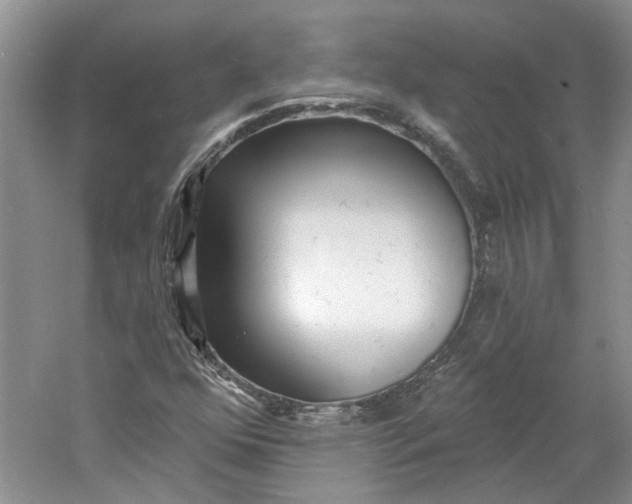 X0000060741352200512011409