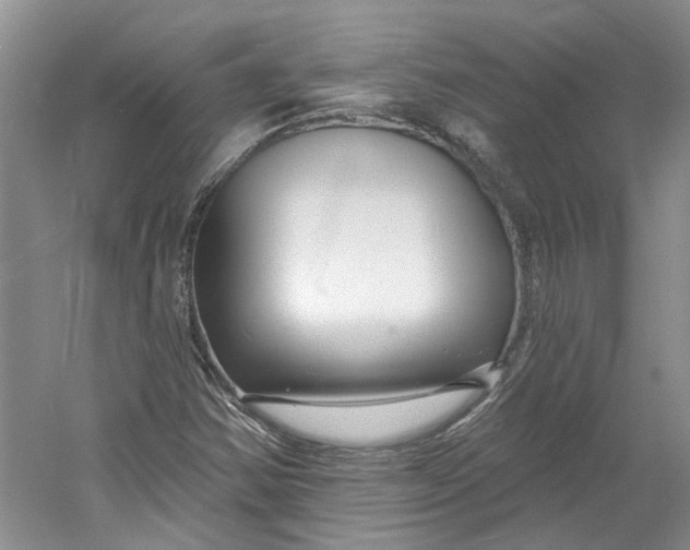 X0000060741354200512011409