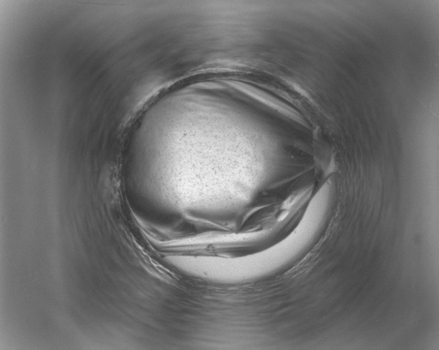 X0000060741355200512011409