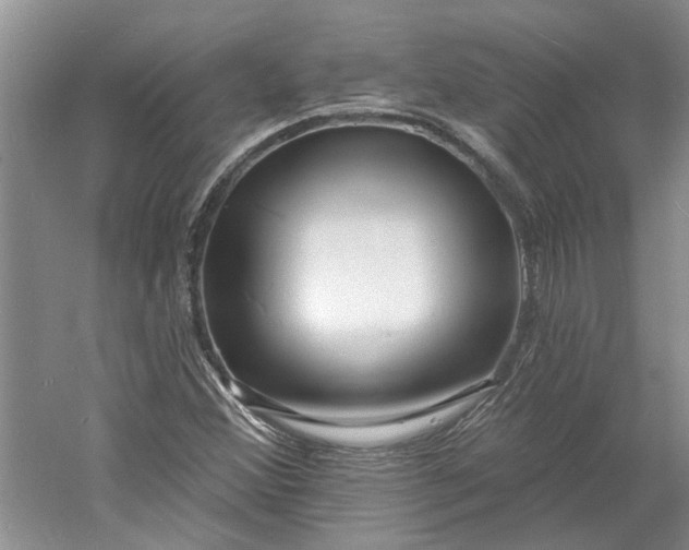 X0000060741356200512011409