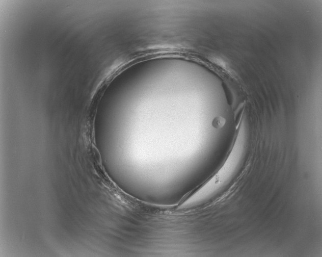 X0000060741357200512011409