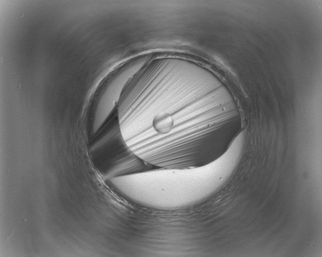 X0000060741360200512011408