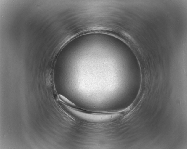 X0000060741361200512011408