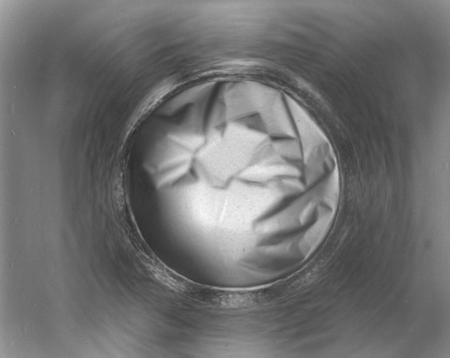 X0000060741362200512011408