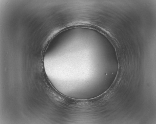 X0000060741363200512011408