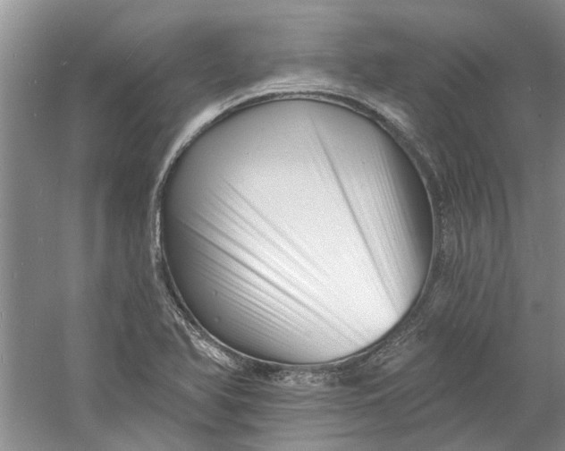 X0000060741366200512011408