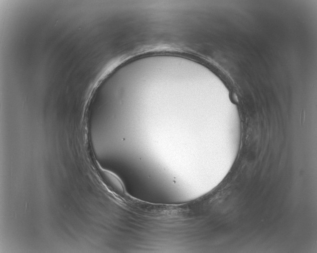 X0000060741367200512011408