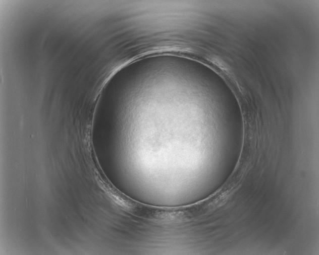 X0000060741369200512011408