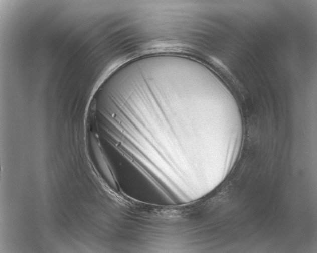 X0000060741370200512011408