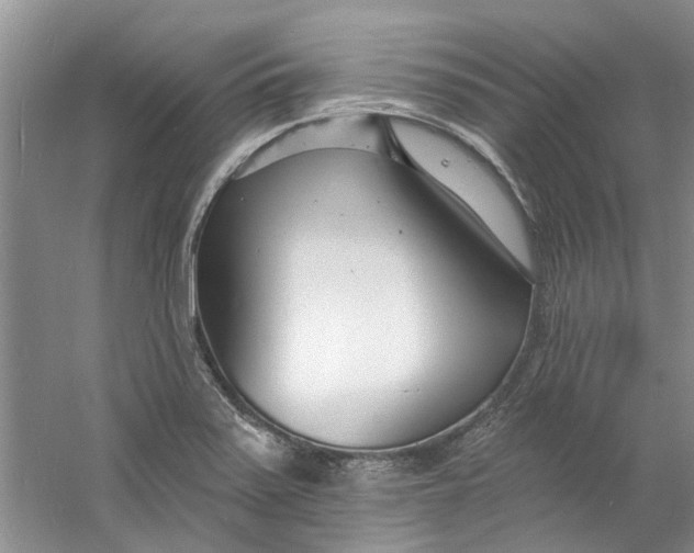 X0000060741371200512011408