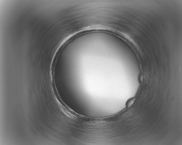 X0000060741372200512011408