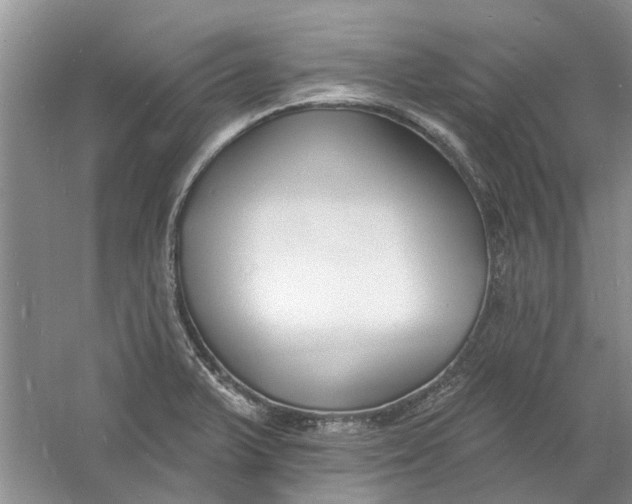 X0000060741375200512011408