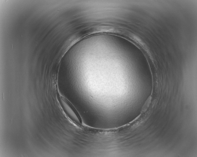 X0000060741377200512011408