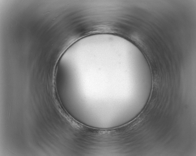 X0000060741378200512011408