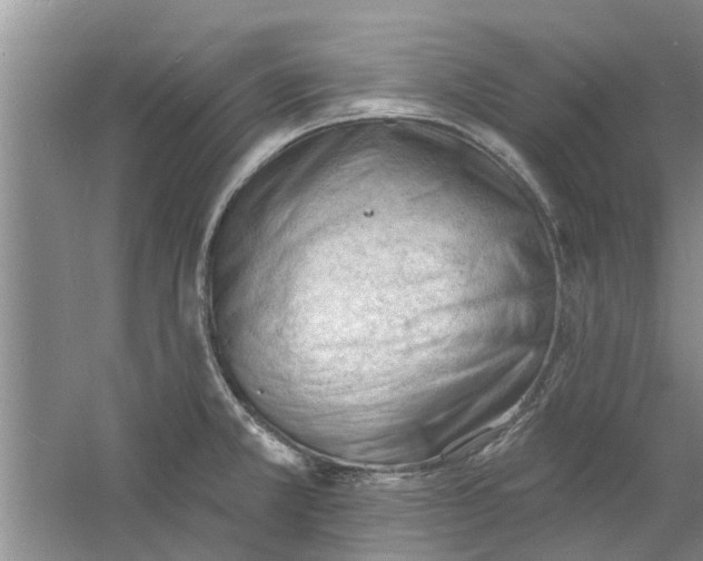 X0000060741381200512011408