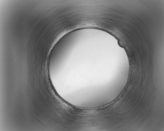 X0000060741382200512011408