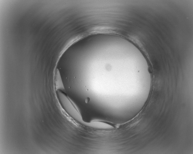 X0000060741386200512011408