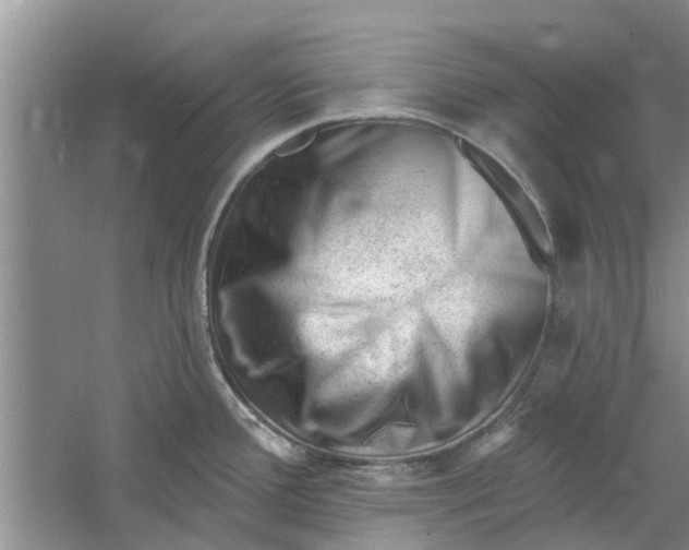 X0000060741388200512011408