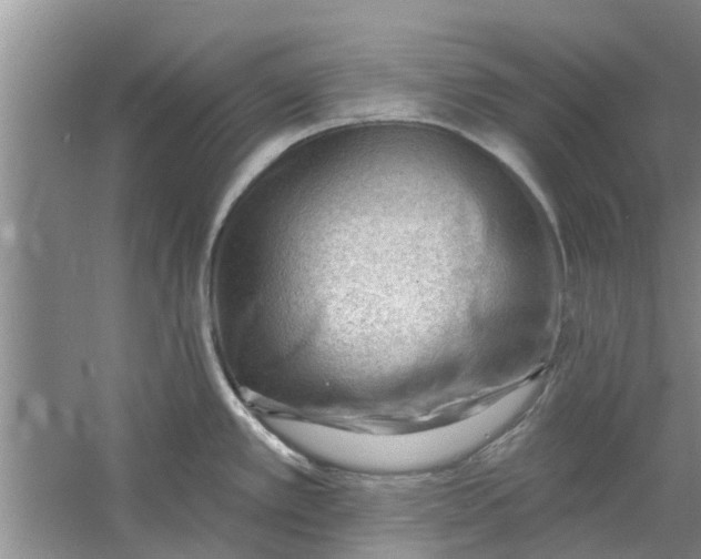 X0000060741389200512011408