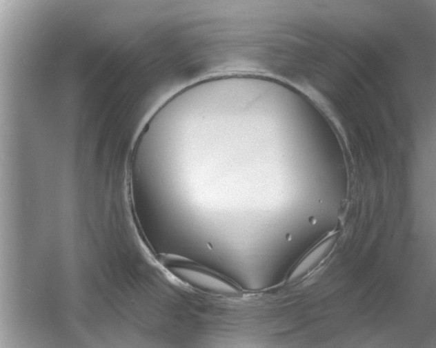 X0000060741390200512011408