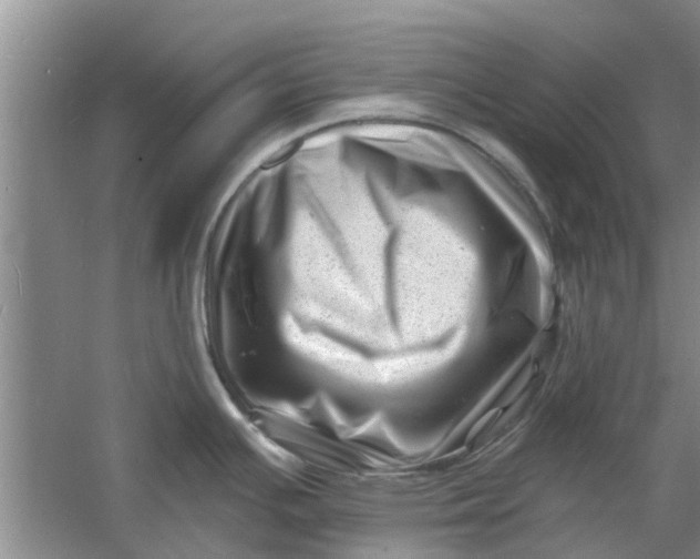 X0000060741391200512011408