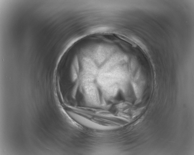 X0000060741392200512011408